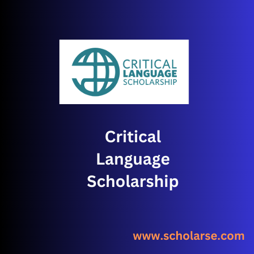 critical language scholarship essays